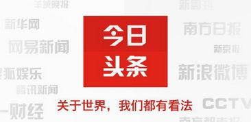 经营头条号,揭秘高效内容运营策略与实战技巧