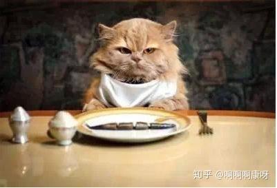 小猫吃瓜摆件寓意,寓意吉祥，萌态可掬