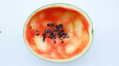 吃瓜勺子plus版本,全新升级，解锁美食新体验