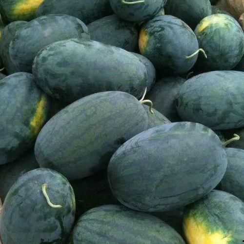 梦见吃屈瓜哲口,屈瓜哲口之谜