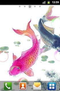 头条年年有鱼图片大全,盘点经典年年有鱼图片大全