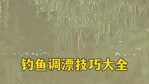 钓鱼头条文章大全,揭秘热门文章，畅享钓鱼乐趣与技巧