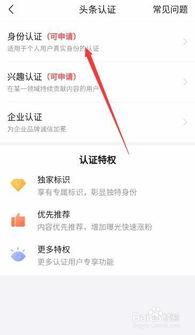 头条上身份认证怎么解除,头条身份认证解除全攻略