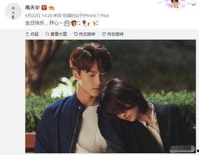 明星关系图郑爽,娱乐圈复杂关系网的焦点人物