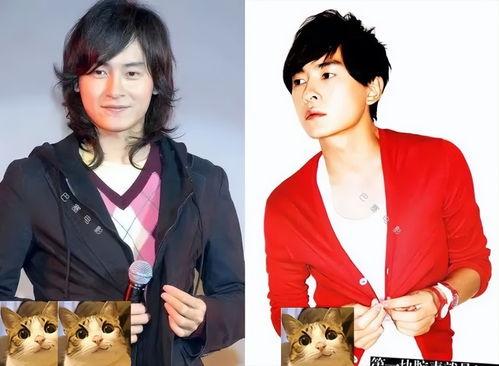 我的明星个个,揭秘明星们的璀璨人生