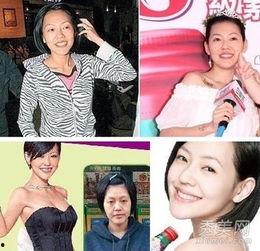 圆乳女明星,盘点娱乐圈性感魅力代表