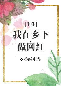 我在乡下做网红txt,我的乡村生活与网络奇遇