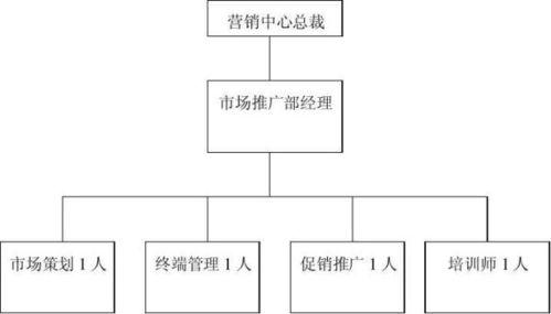微头条人物结构图,洞察社交网络背后的秘密