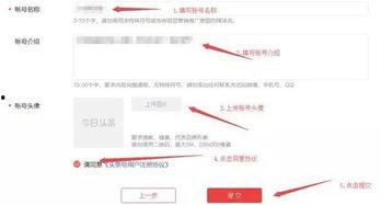 新手如何在头条认证