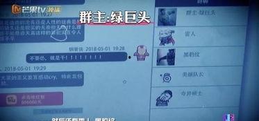 明星大侦探甄相帝,明星大侦探中的智慧与魅力