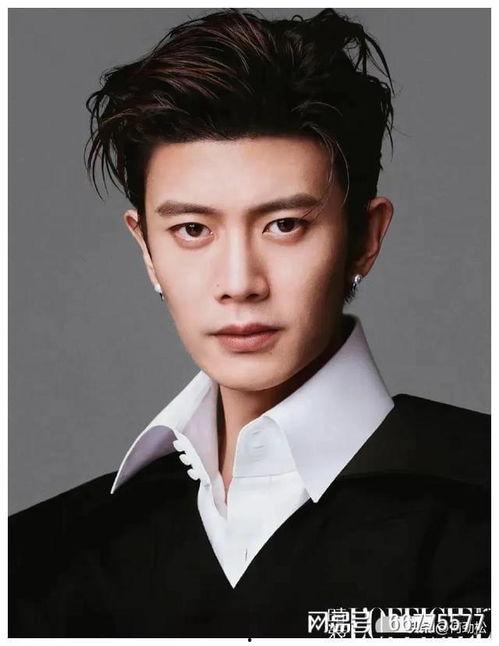 男明星男艺,盘点当红男明星与男艺人风采