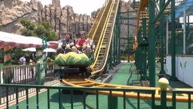 明星挑战恐龙园过山车,速度与激情的极限之旅