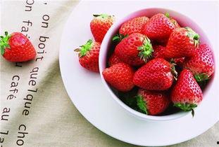 濮阳附近哪儿有网红草莓,濮阳周边网红草莓采摘地推荐