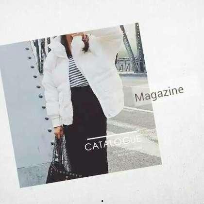 安什么溪明星,璀璨星光下的传奇人生