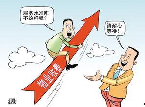 网红公司攀比心有多强呢,一场无硝烟的虚荣之战