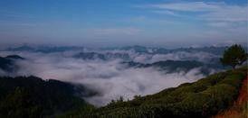 湘西知名网红有谁,揭秘湘西知名网红圈