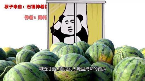 表哥吃瓜视频,娱乐圈幕后真相大曝光